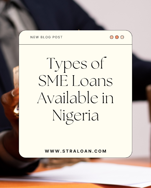 Types of SME Loans Available in Nigeria